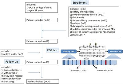 Can Music Influence Patients With Disorders of Consciousness? An Event-Related Potential Study